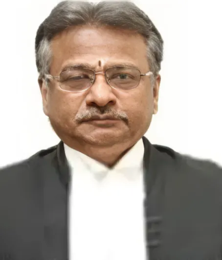 Justice P. Kalaiyarasan