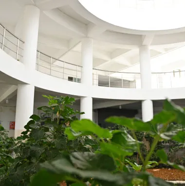 Main Building Architecture